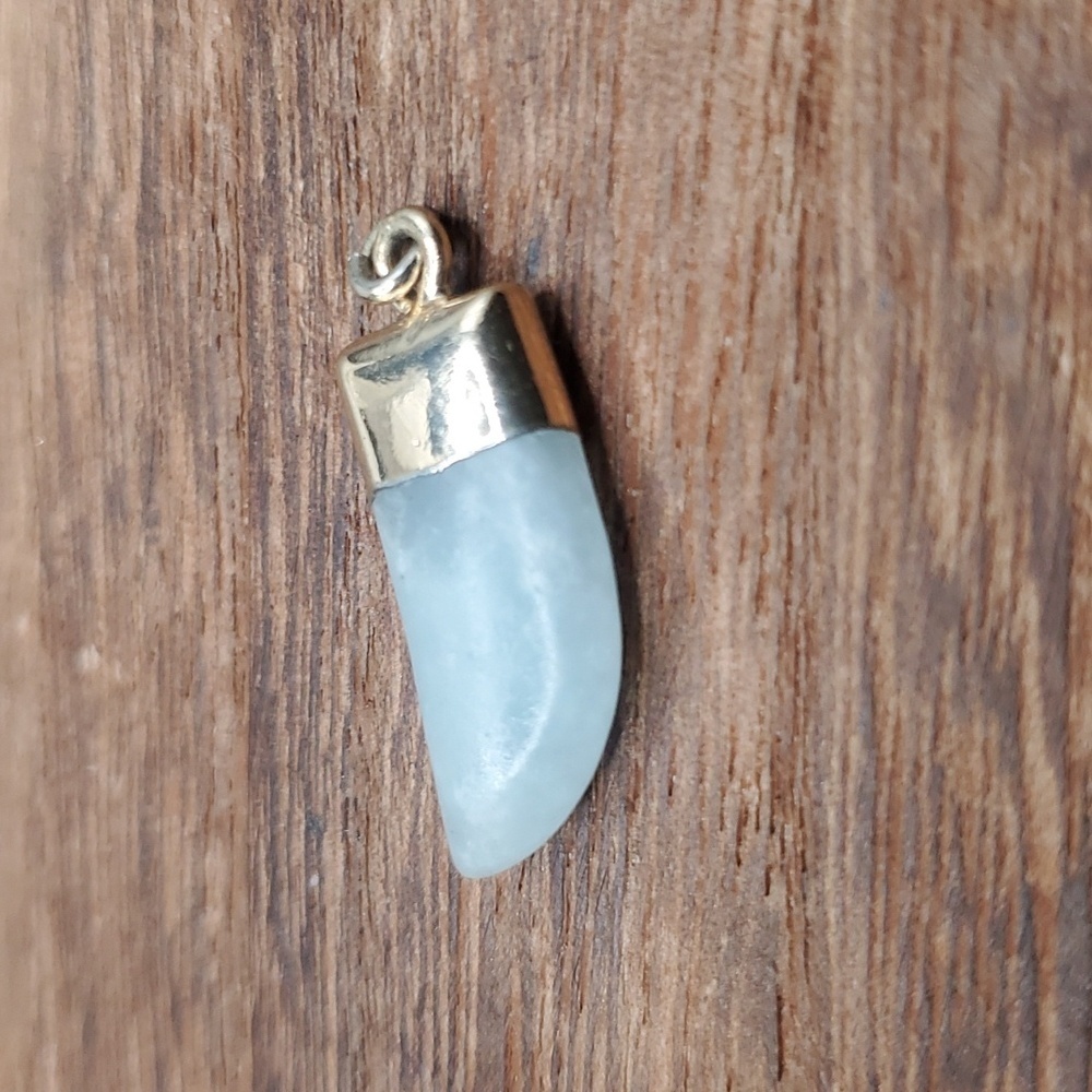 Sapphire‎ shark tooth good luck charm pendant charm